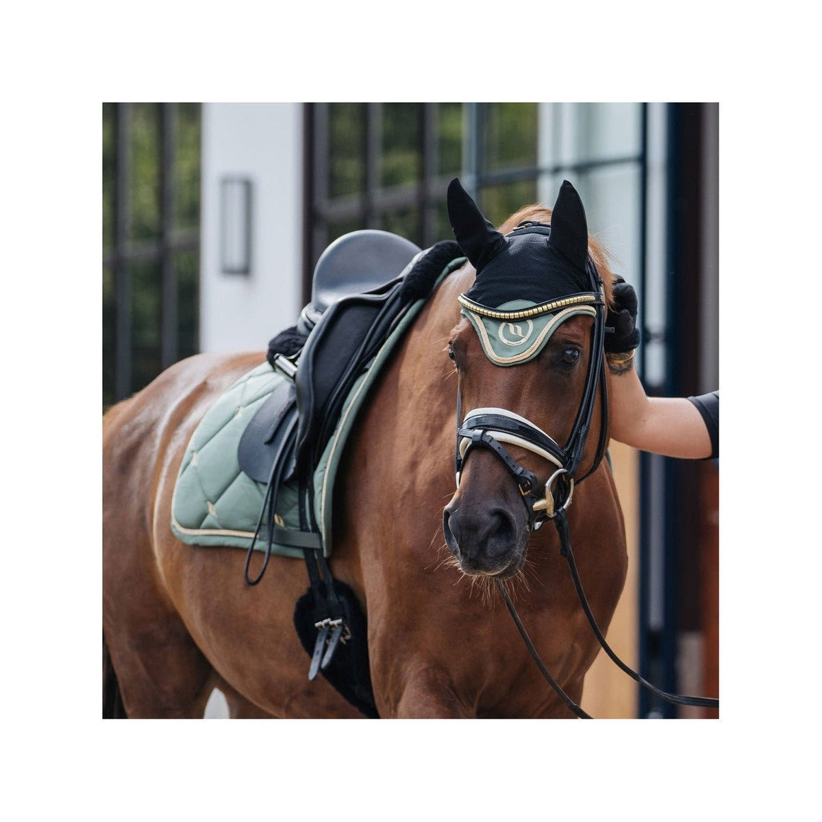 Back on Track Nights Collection Fliegenhaube, Olivgrün - IQ Horse