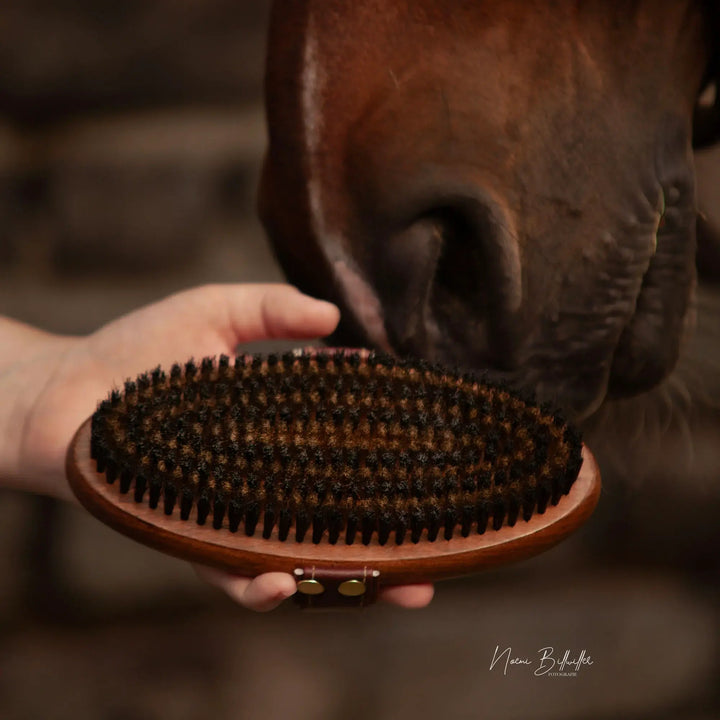 Equimour Metal Brush NALA