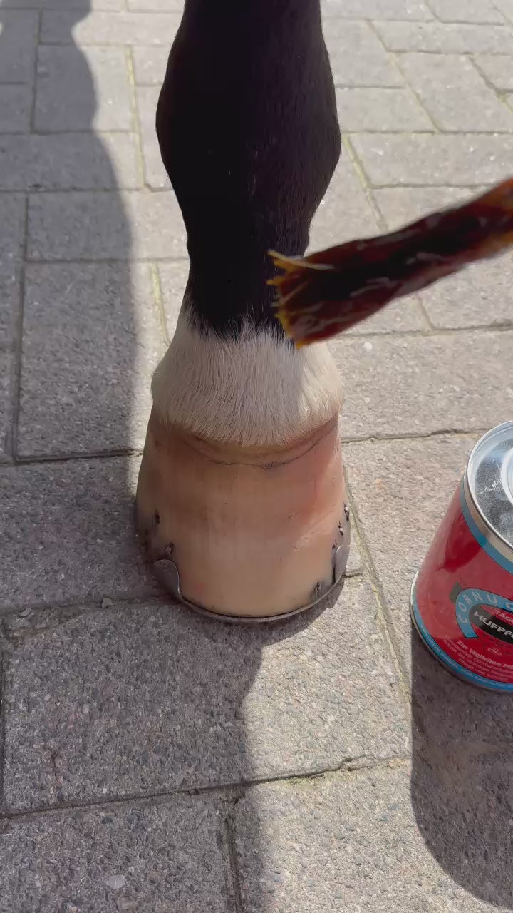 Cornucrescine Hoofcare - daily application for healthy hooves