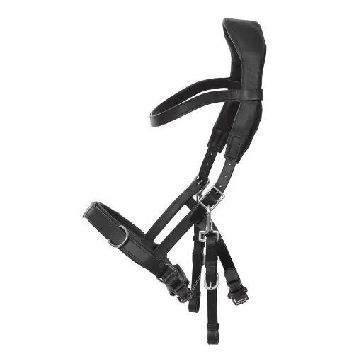 NeXaver SMART Leder Longierzaum - IQ Horse