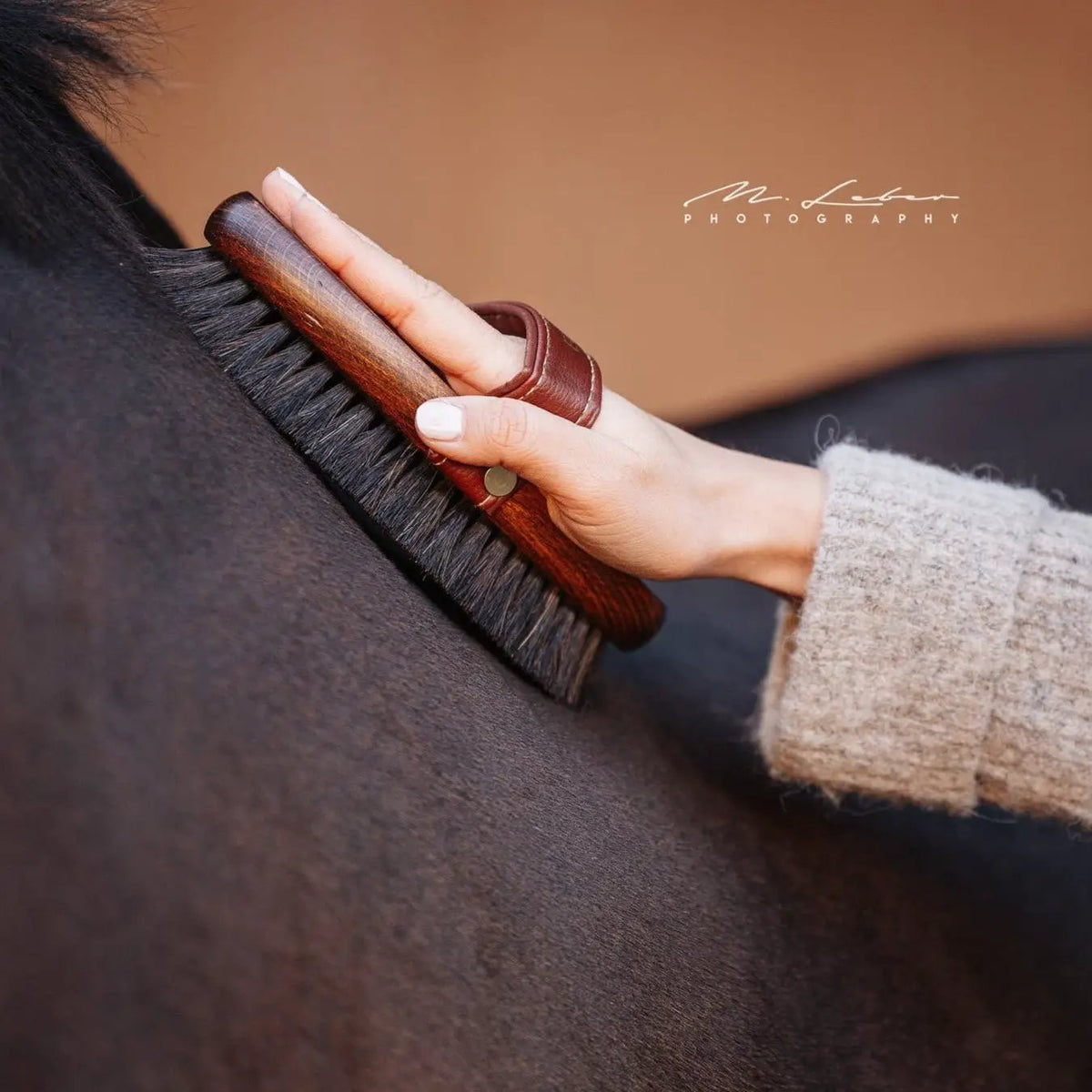 Rosshaar - Kardätsche TORI - IQ Horse