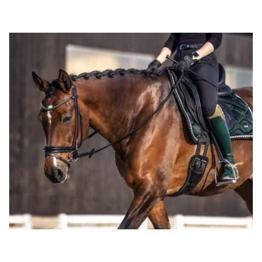 Bridlery anatomische Trense Classic, schwedisch - IQ Horse