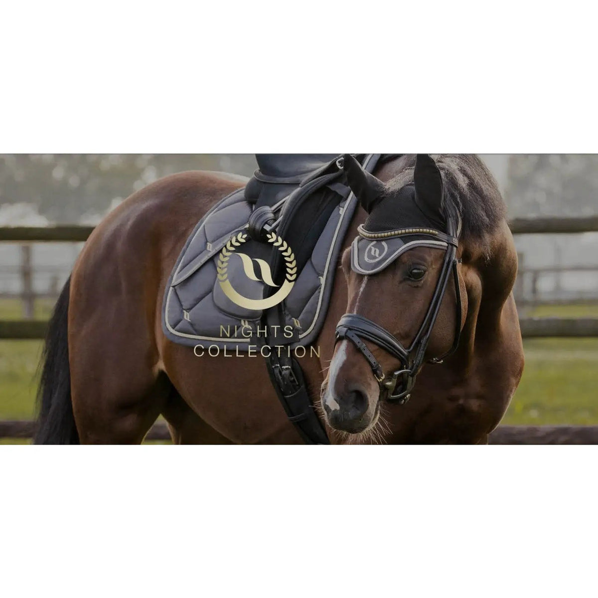 Back on Track Nights Collection Fliegenhaube, graphite - IQ Horse