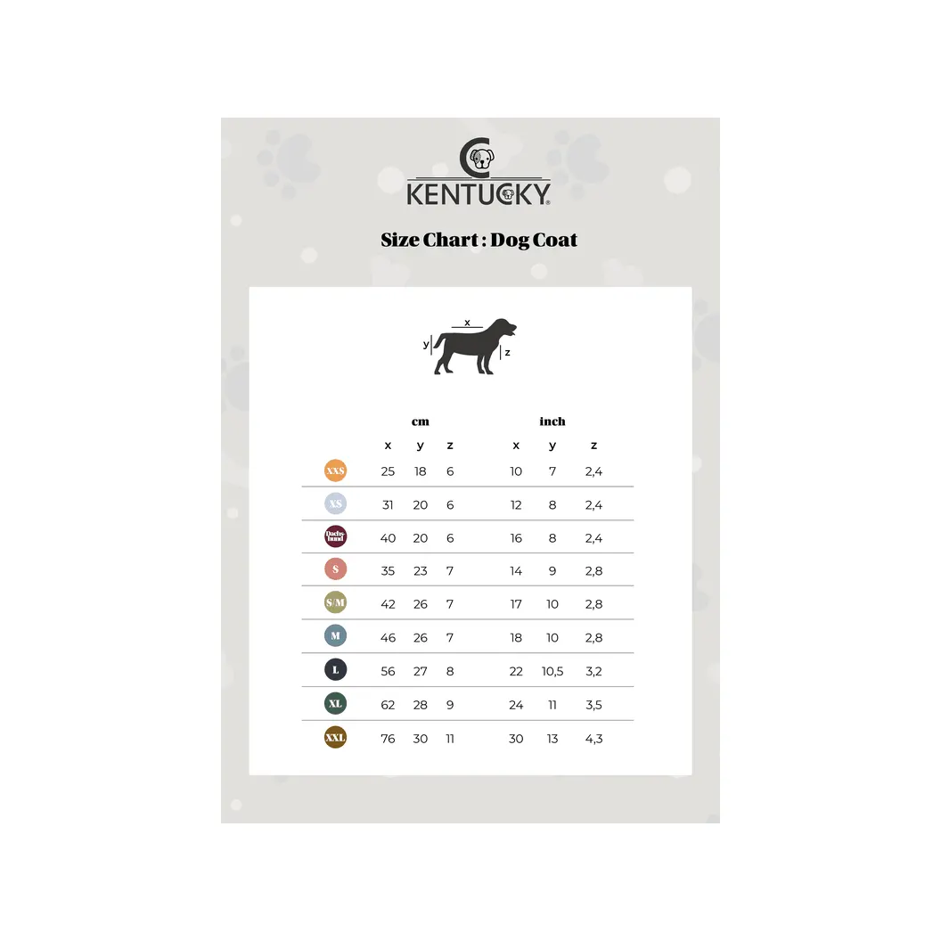 Hundemantel reflektierend &amp; Wasserabweisend, Silber - IQ Horse