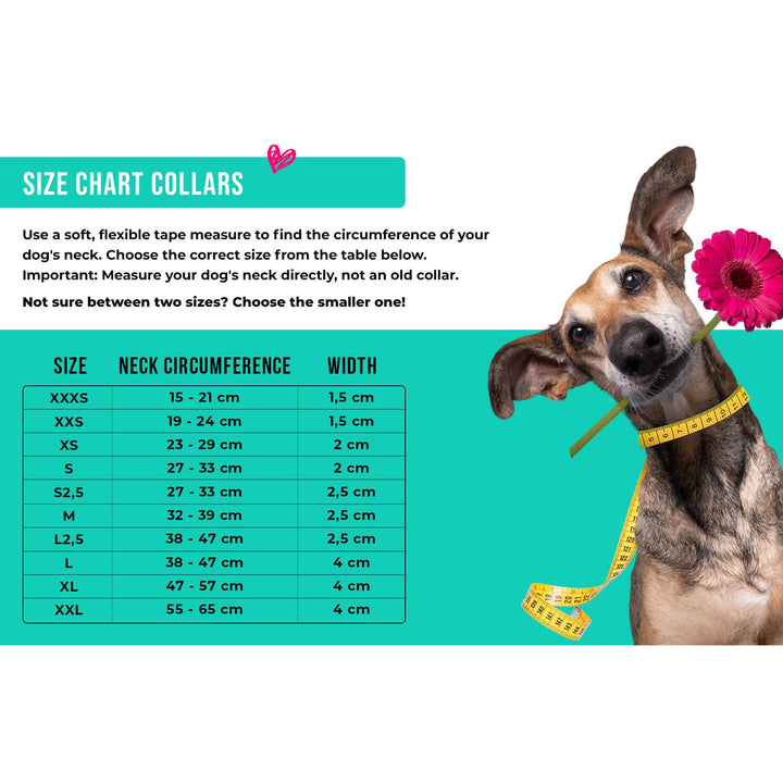 Dog with a mission - Halsband Pink Star - IQ Horse