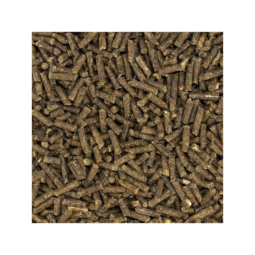 Speed  ELECTROLYTE boost, 1,5 Kg - IQ Horse