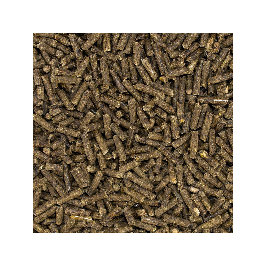 Speed  ELECTROLYTE boost, 1,5 Kg - IQ Horse