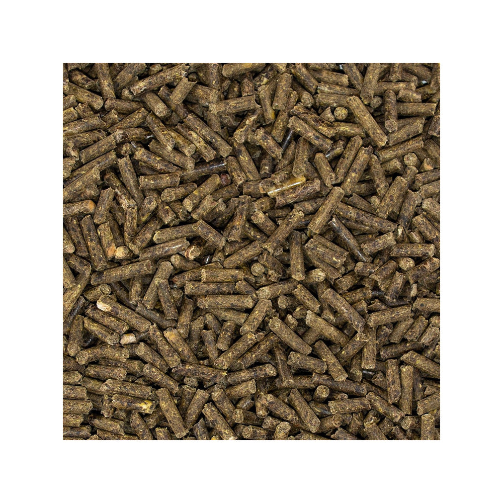 Speed ZINC boost, 1,5 Kg - IQ Horse