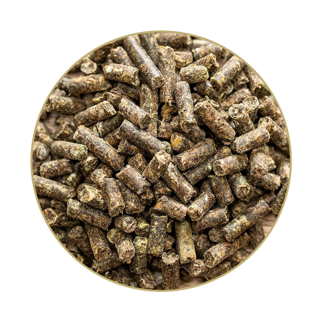 Ergänzungsfutter Equimeb Hepa – Pellets, 3 kg
