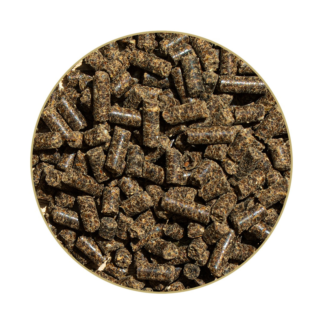 Eisen Hesta plus Eisen – Pellets, 1 kg