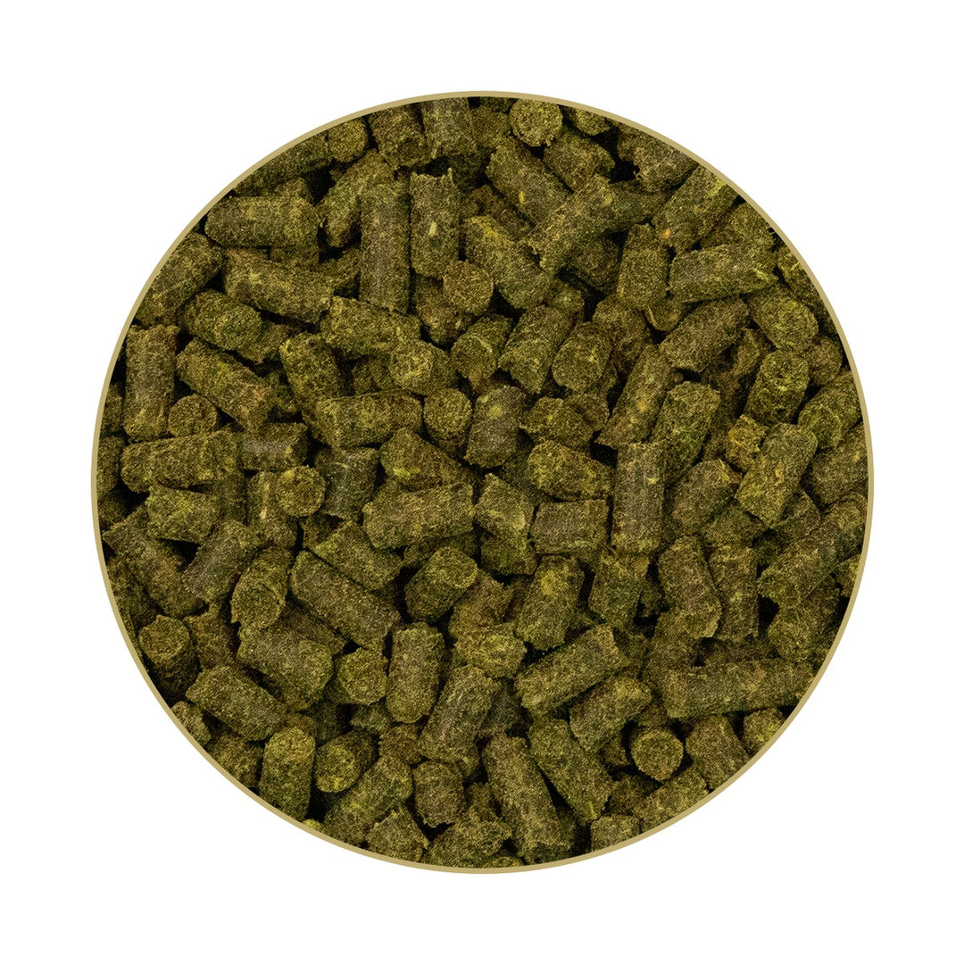 Zink Hesta plus Zink – Pellets, 1 kg