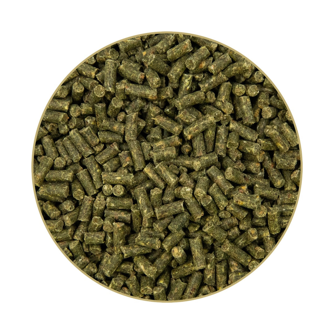 Ergänzungsfutter Kernkraft Muskel – 5 kg