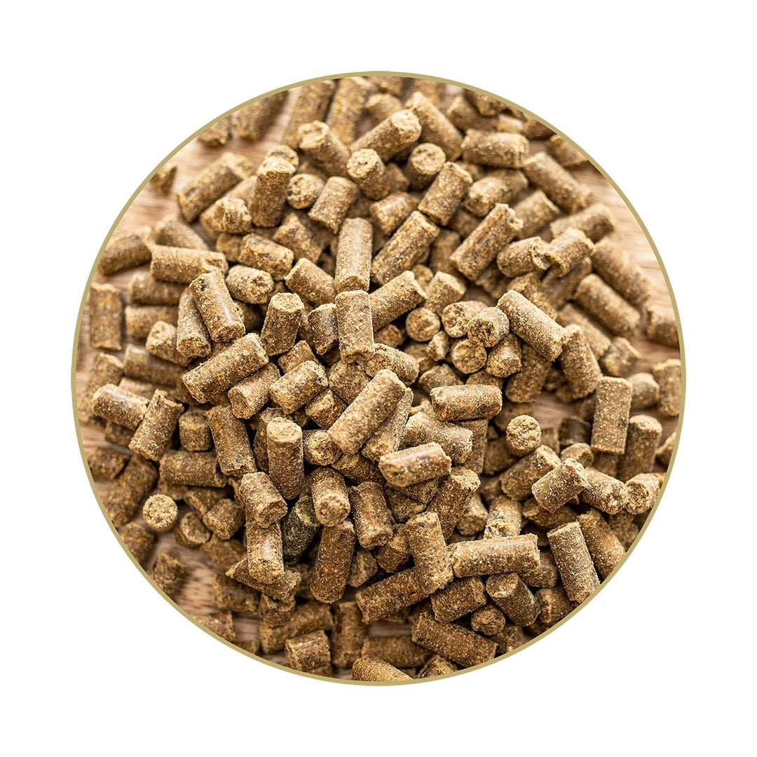 Magnesium B12 – Pellets, 1 kg