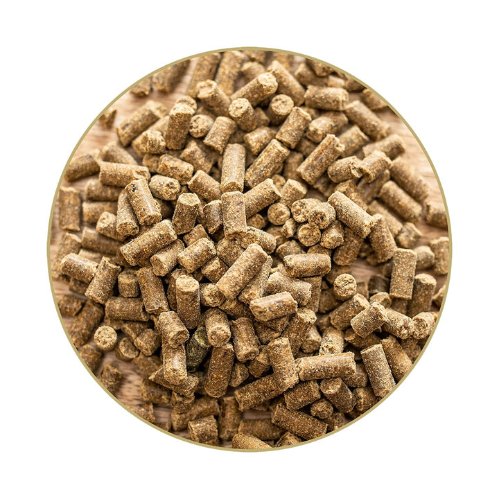 Magnesium B12 – Pellets, 1 kg