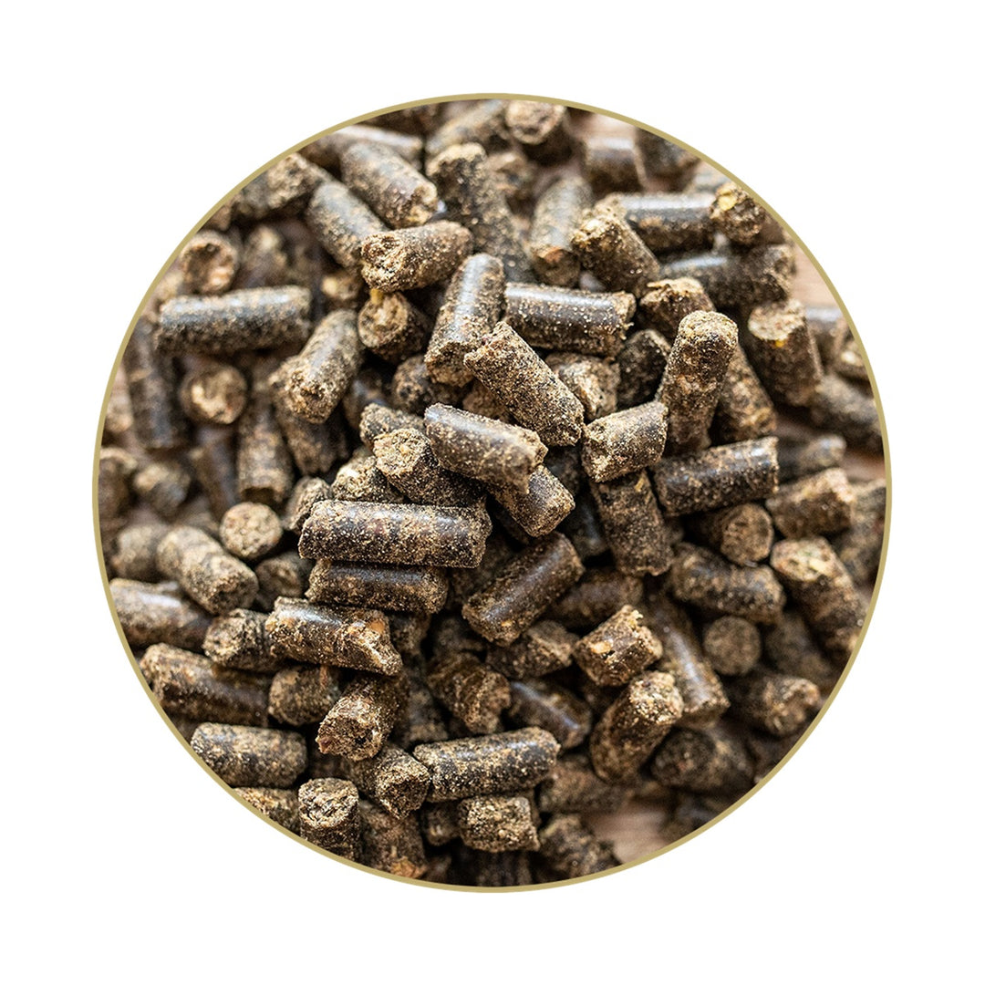Magnesium Makor – mit Vitamin E, 1 kg
