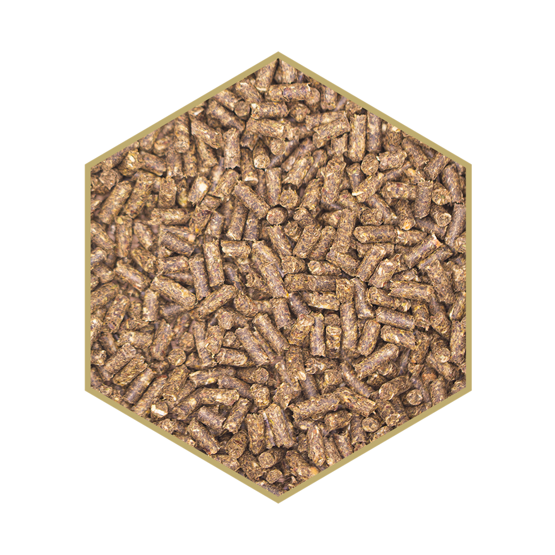 Kraftfutter WES Basic Crunch – Pellet, 25 kg