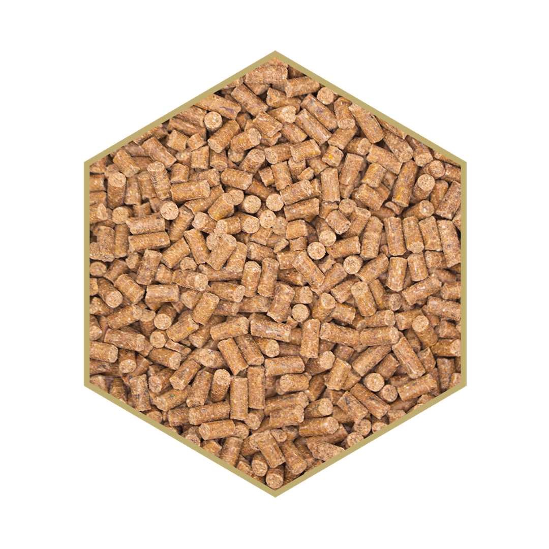 Mineralfutter WES Bodyguard – 5 kg