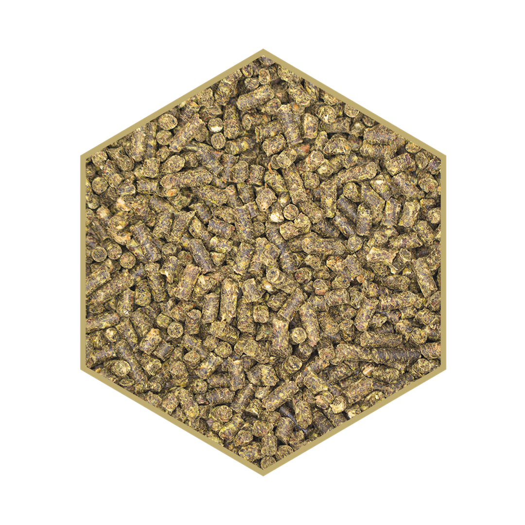 Kraftfutter WES Power Crunch – Pellet, 25 kg