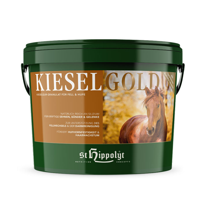 Silizium Kieselgold – Granulat, 4 kg