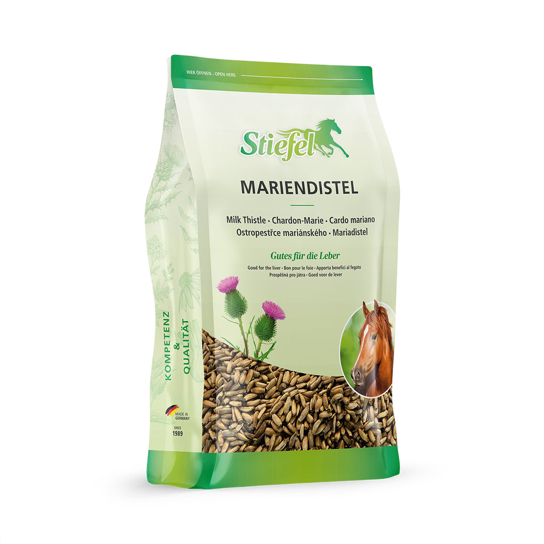 Einzelkraut Mariendistel – Samen, 1,5 kg