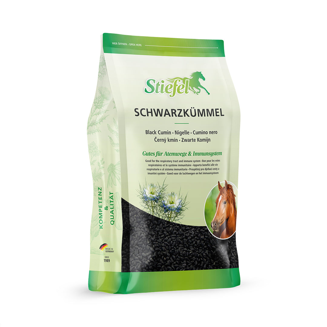Einzelkraut Schwarzkümmel – Samen, 1,5 kg