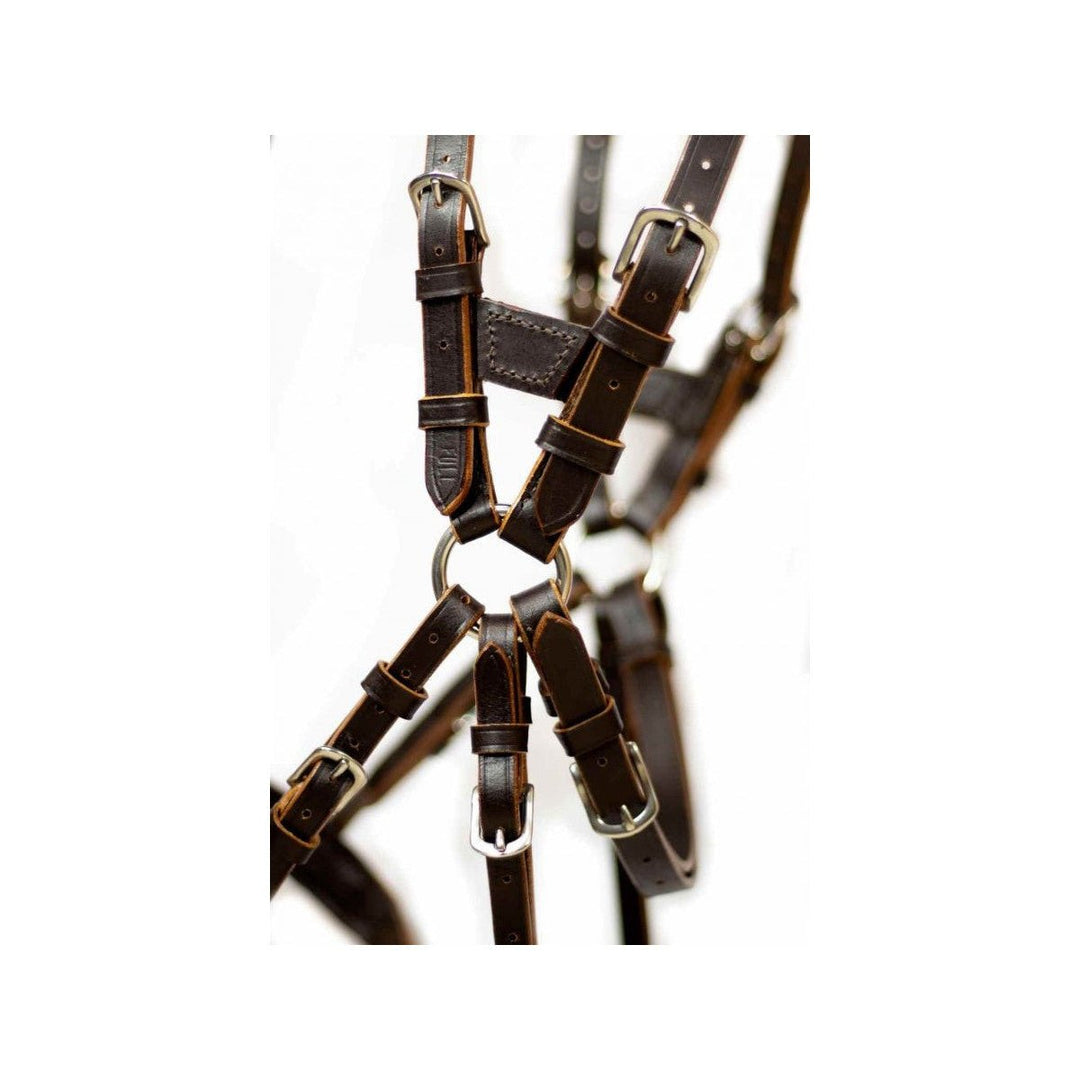 NeXaver Leder Trensenzaum Kombiniert - IQ Horse