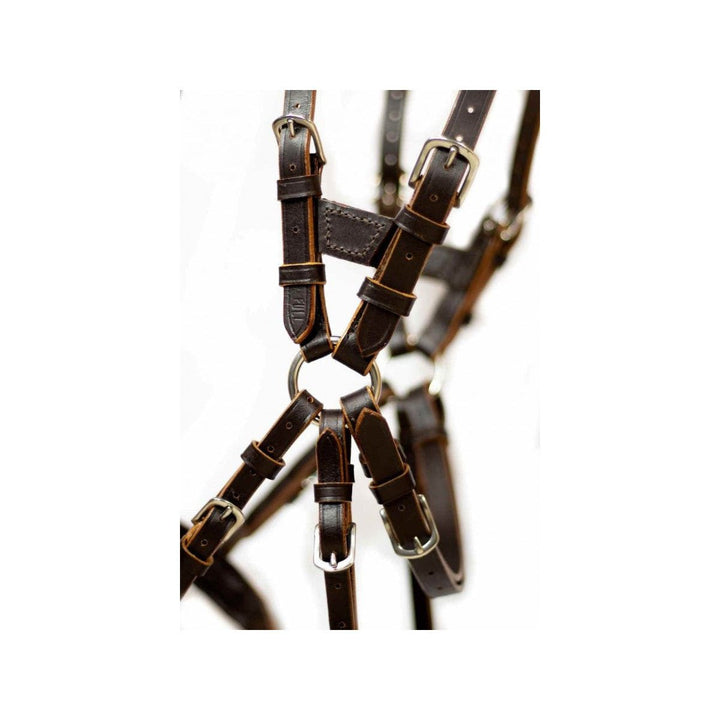 NeXaver Leder Trensenzaum Kombiniert - IQ Horse