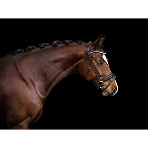 Bridlery anatomische Trense Classic, schwedisch - IQ Horse