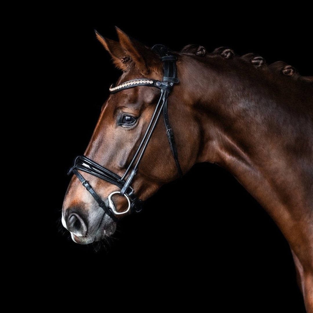 Bridlery anatomische Trense Classic, schwedisch - IQ Horse