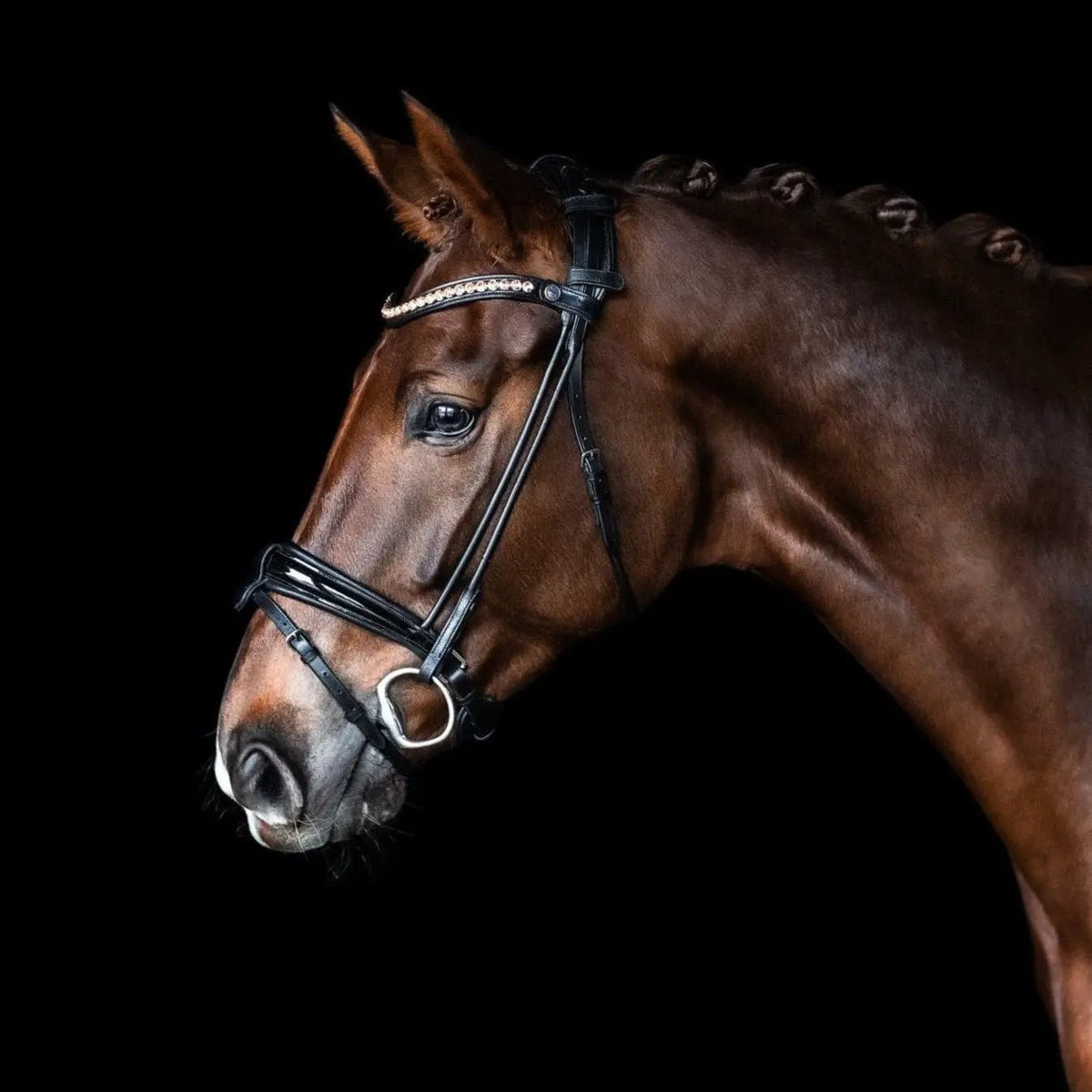 Bridlery anatomische Trense Classic, schwedisch - IQ Horse