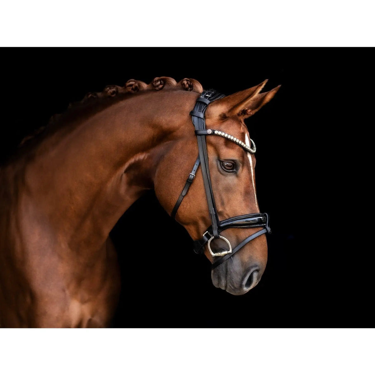 Bridlery anatomische Trense Velvet, schwedisch - IQ Horse