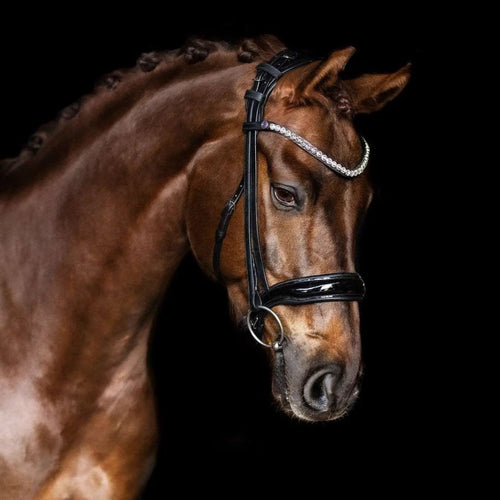 Bridlery anatomische Trense Velvet, schwedisch - IQ Horse