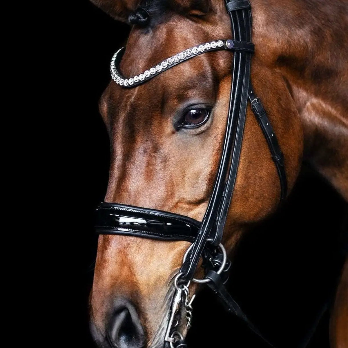Kandare VELVET - IQ Horse