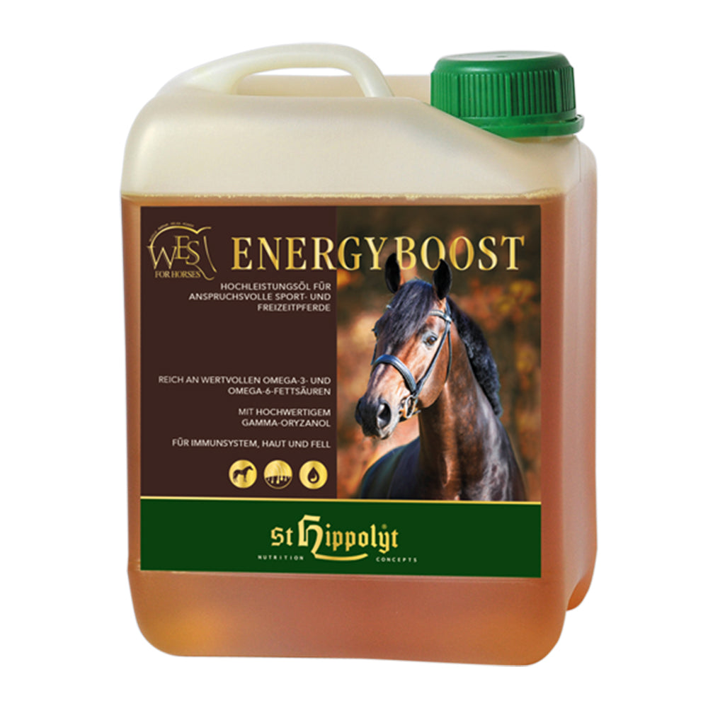 Ölmischung WES Energy Boost – 5 l