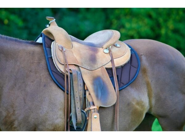 Western Pad Roundskirt - IQ Horse