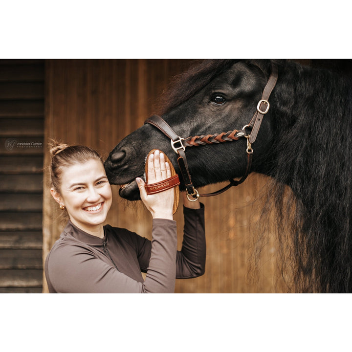 Ziegenhaar-Glanzbürste MO - IQ Horse