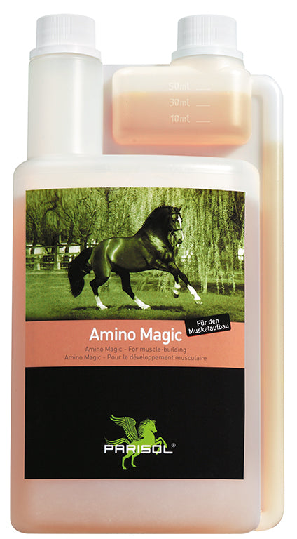 Bense & Eicke Amino Magic 1000 ml