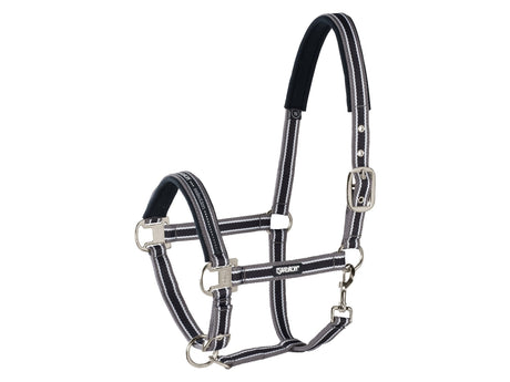 Eskadron Halfter PIN BUCKLE Basics (ANTHRACITE - WHITE - BLACK) - IQ Horse