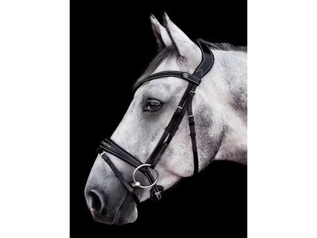 Bridlery anatomische Trense Focus, schwedisch - IQ Horse