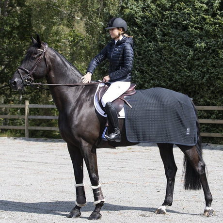 Kingsland Nierendecke/ Trainingsdecke WOOL EVOLUTION, navy - IQ Horse